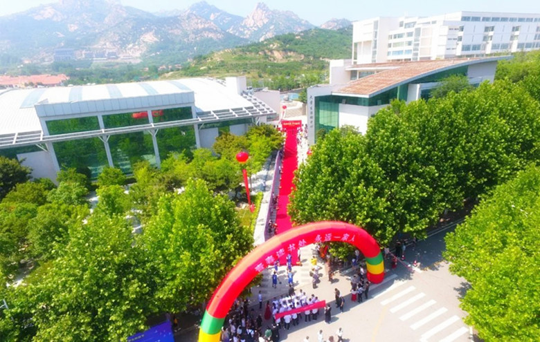 鲜衣怒马正芳华｜best365英国体育在线2019届毕业生走红毯纪实